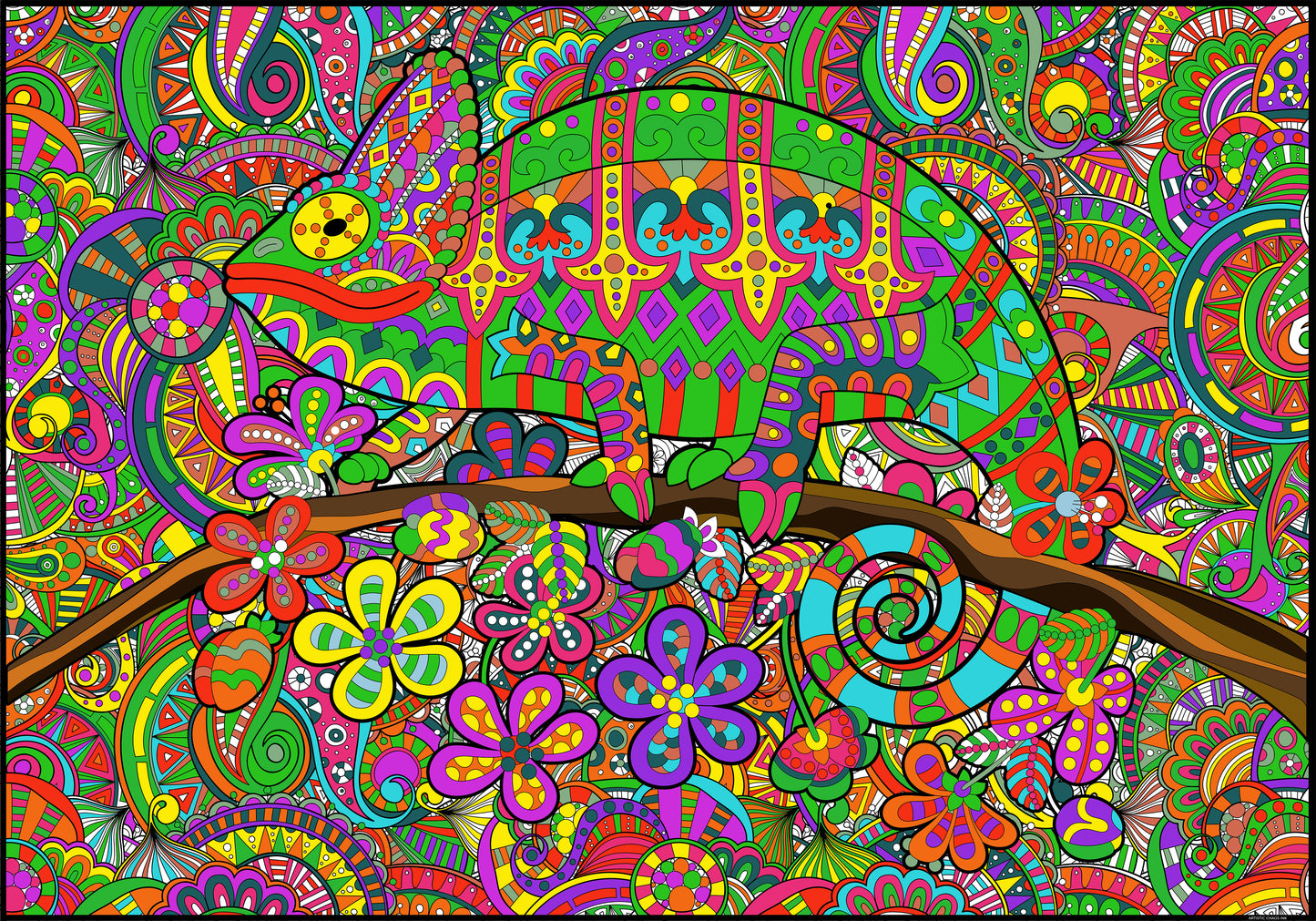 Chameleon Coloring Poster